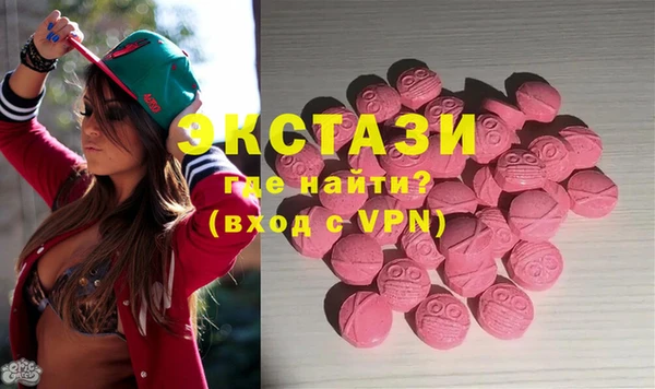 индика Ельня