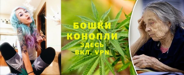 ешки Протвино