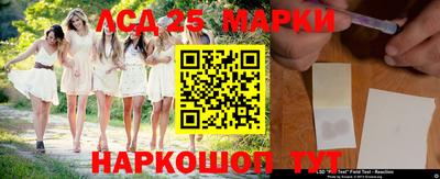 шишки Заволжье
