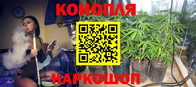 ПСИЛОЦИБИНОВЫЕ ГРИБЫ Заводоуковск
