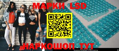 шишки Заволжье