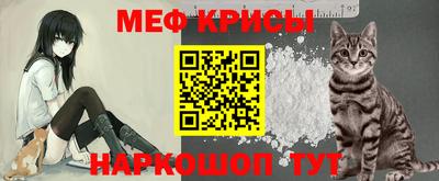 шишки Заволжье