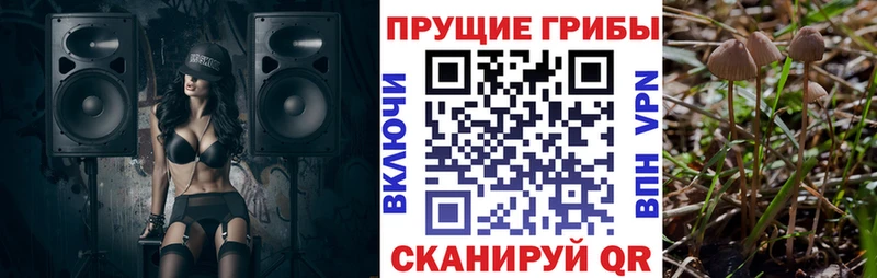 Галлюциногенные грибы ЛСД  наркотики  Сланцы 