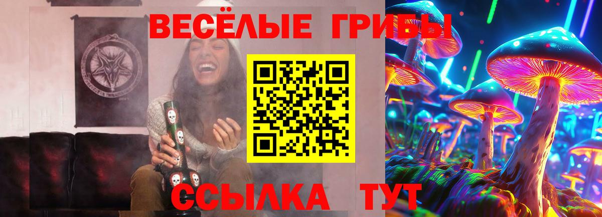 Сланцы  Галлюциногенные грибы мицелий  Вход с VPN 